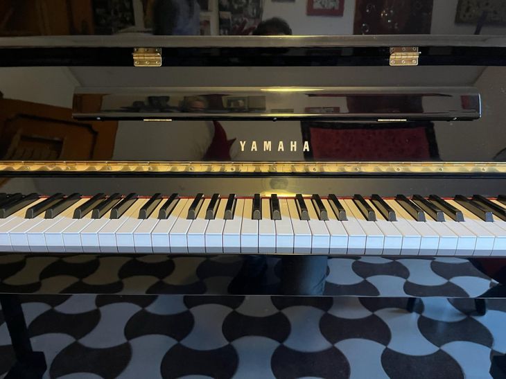 Yamaha Lu-201C - Image3