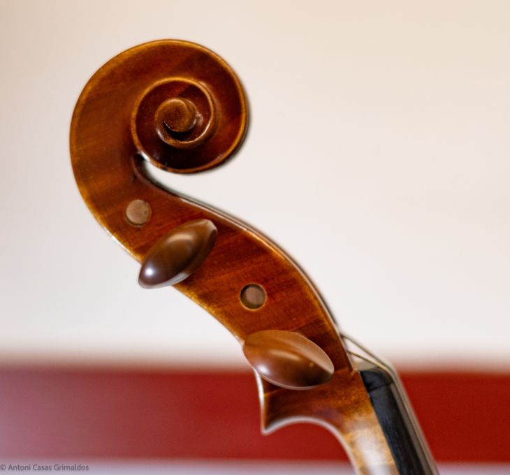 Violin Heritage - Imagen5