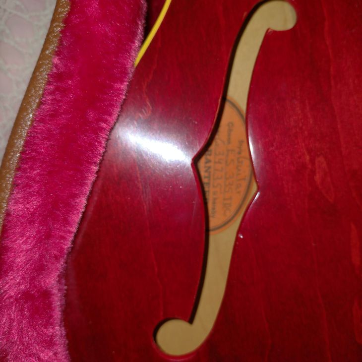 Vendo Gibson es335 tdc - Image5