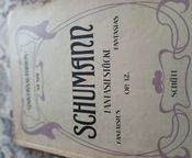 SCHUMANN fANTASIA OP.12 - Bild