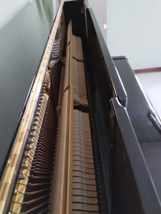 Pianoforte U1X - Imagen por defecto