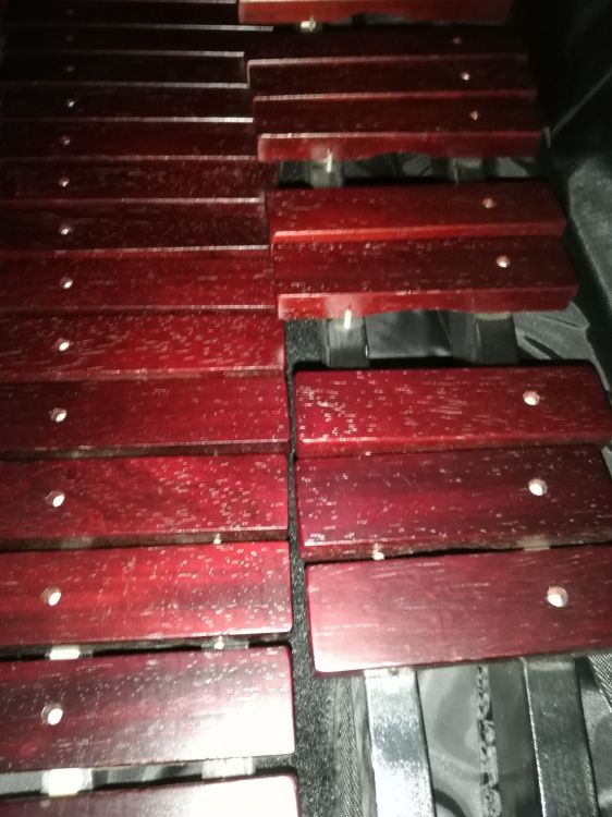 Xylophone by Gear4music, 3 Octaves at Gear4music