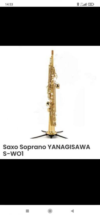 Soprano Yaganisawa un año de uso - Imagen5