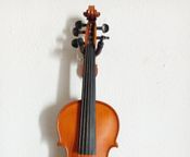 Gliga 5-string violin for sale
 - Image
