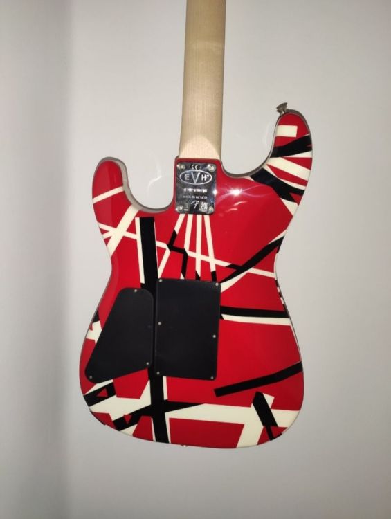 EVH Striped Series RWB - Image6