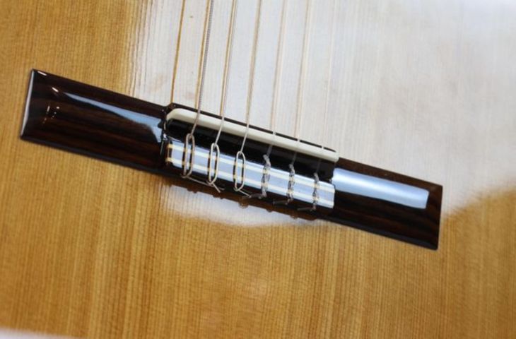 OPORTUNIDAD!! Guitarra Jose Torres JTC-5 - Imagen2