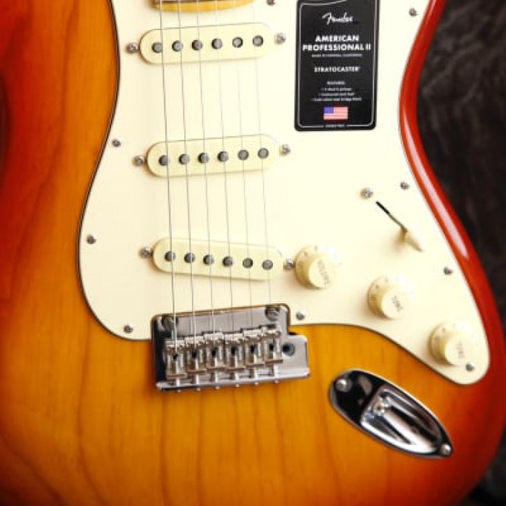 Fender Stratocaster Sienna Sunburst - Immagine5