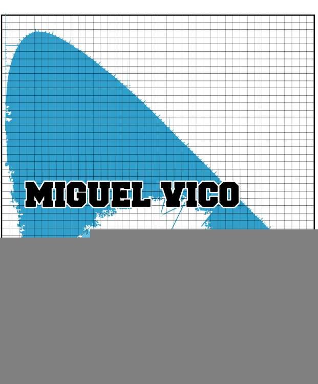 Miguel V. - Image