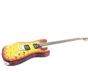 Washburn Pro X-Serie
 - Bild