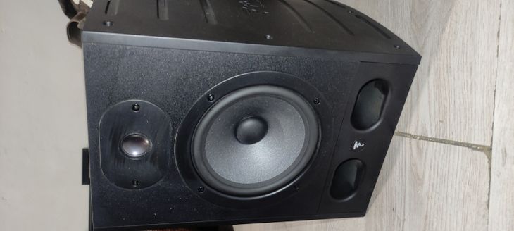 Focal evo 6.0 y focal alpha - Imagen por defecto