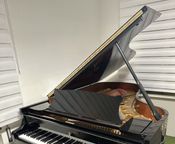 Steinway Fils B
 - Image