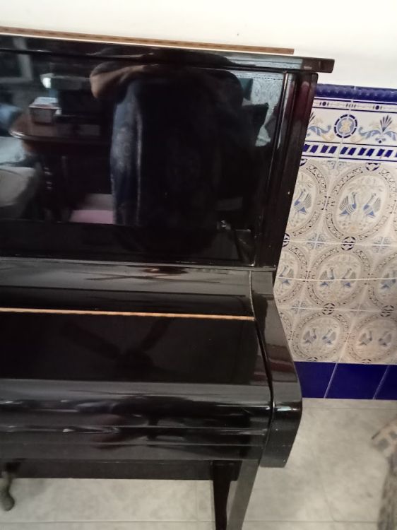 SE VENDE PIANO VERTICAL YOUNG CHANG - Immagine6