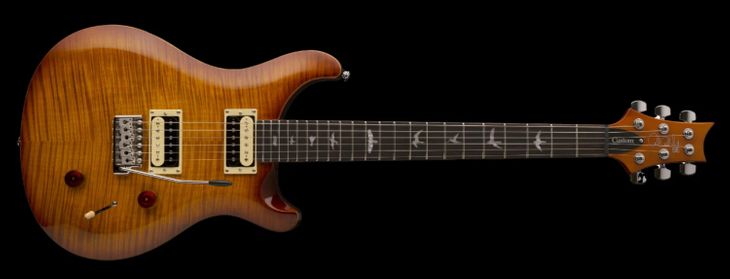 PRS Custom 22 - Image2