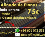 AFINADOR DE PIANOS - Imagen