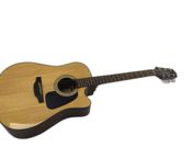 Takamine GD30
 - Image