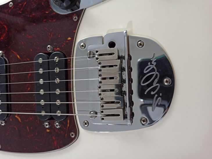 Sergio Valin signature Stratocaster. 2015 MIM - Imagen5