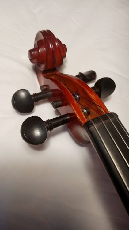 VIOLA 15 PULGADAS - Image2
