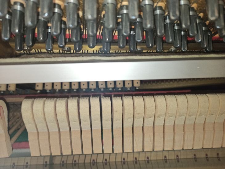 Pianoforte - Imagen5