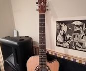 Guitare acoustique
 - Image