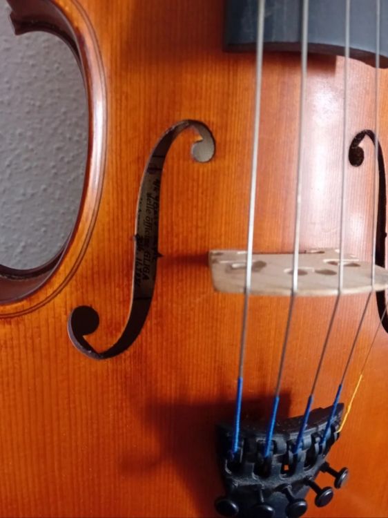 Vendo Violín de 5 cuerdas de Gliga - Immagine4