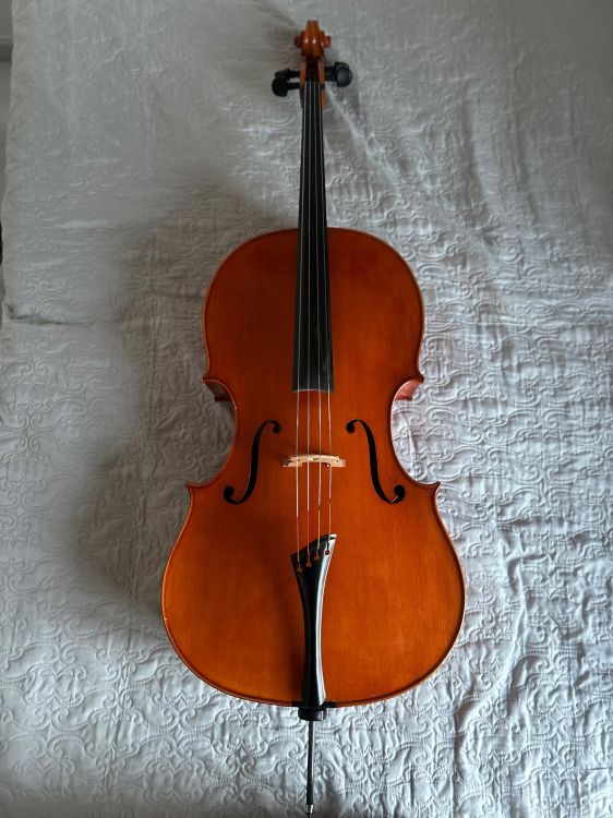 Vendo violonchelo profesional - Immagine2