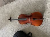 1/2 Cello - Immagine
