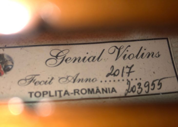 Violín 4/4. Genial Violins 2017 - Toplita, Romania - Imagen4