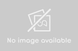 Komplettes Mikrofon Set 2 Stück - Bild