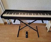 Donner DEP-10 88 Keys Semi Weighted Keyboard
 - Image