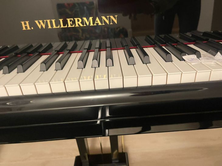 PIANOFORTE CODINO NERO WILLERMANN - Imagen por defecto