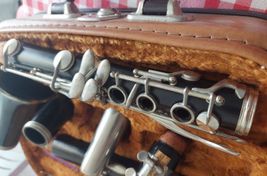 VENDO CLARINETE AMATI LUXUS - Imagen
