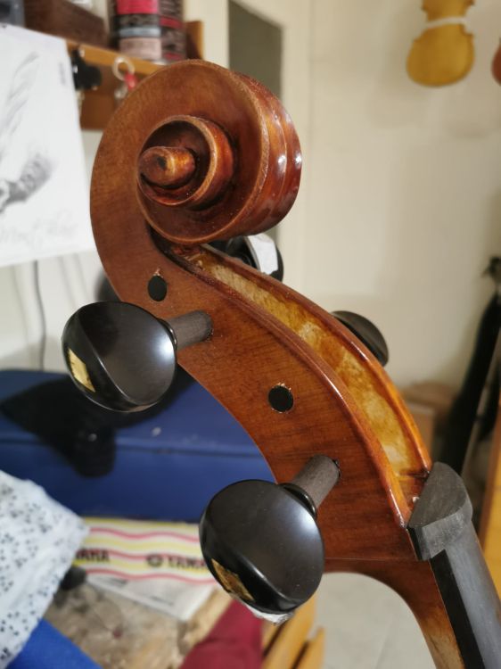 Violoncello del  liutaio Maurizio Preseglio - Imagen por defecto