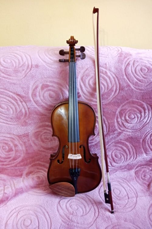 Violin Stentor Student I 4/4 - Image2