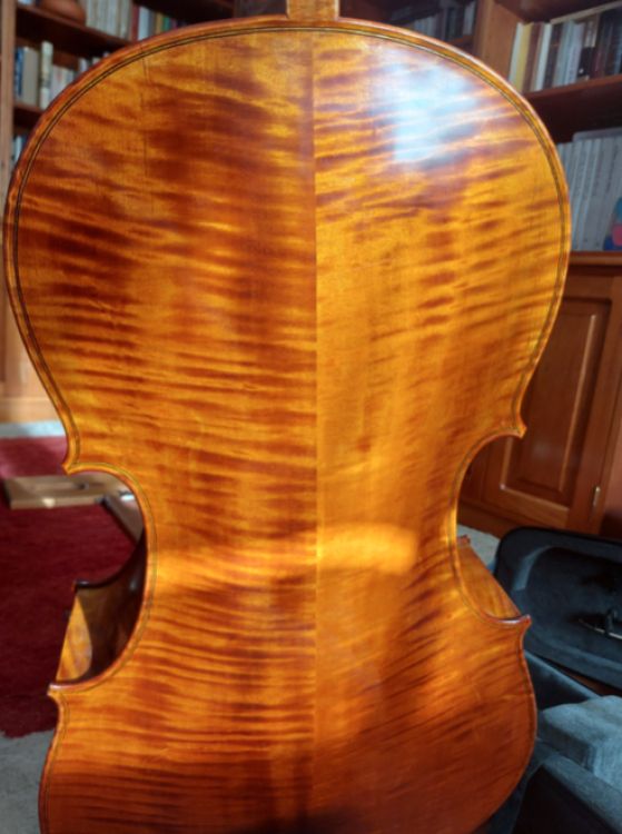 Violonchelo 4/4 - Imagen por defecto