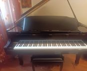 kawai gs-30
 - Imagen