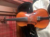 Viola - Immagine