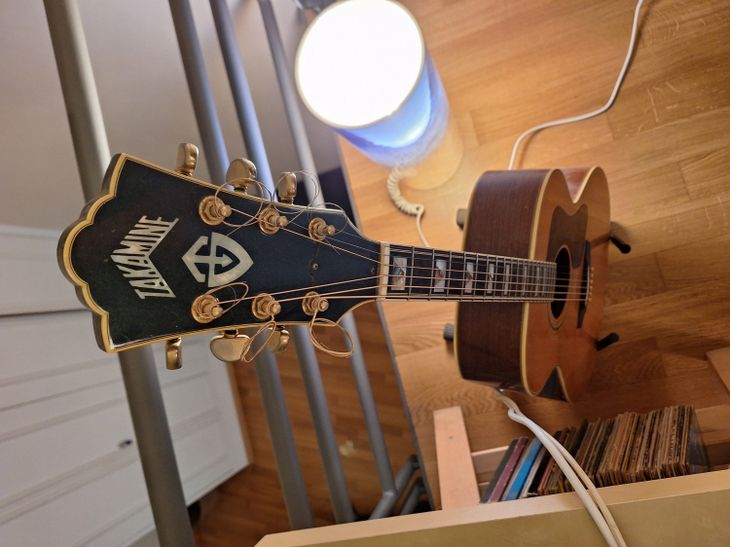 Gilda Chitarra Vintage - Foto gratis su