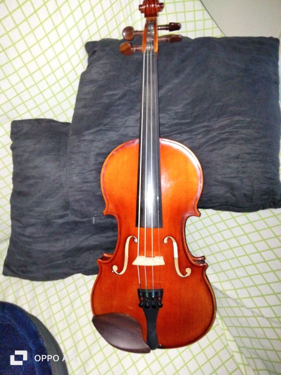 Violín innsbruck de Alpi 3/4 - Image6