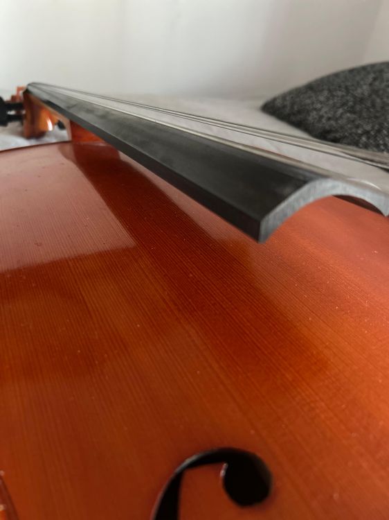 Vendo violonchelo profesional - Immagine3