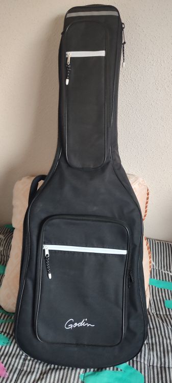 Godin gig online bag