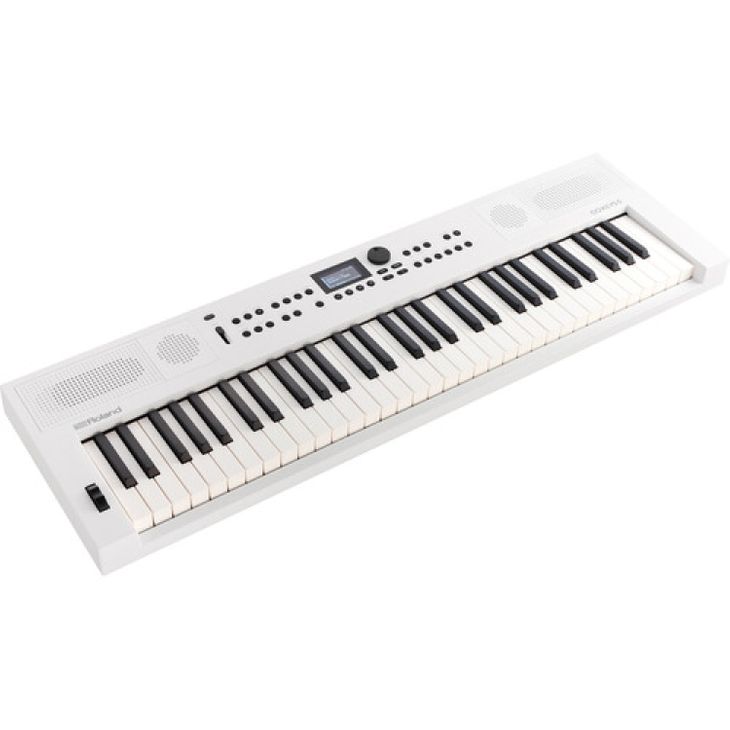 Roland GO:KEYS 5 61-Key Touch-Sensitive Portable - Imagen por defecto