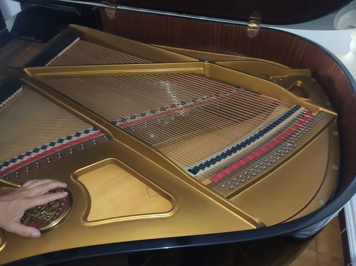 Piano semicola petrof - Image3
