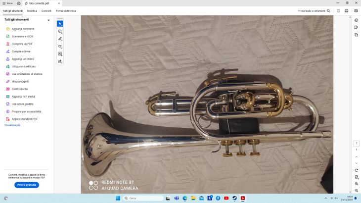 Cornetta YORK BARONETTE IN sib - Image3