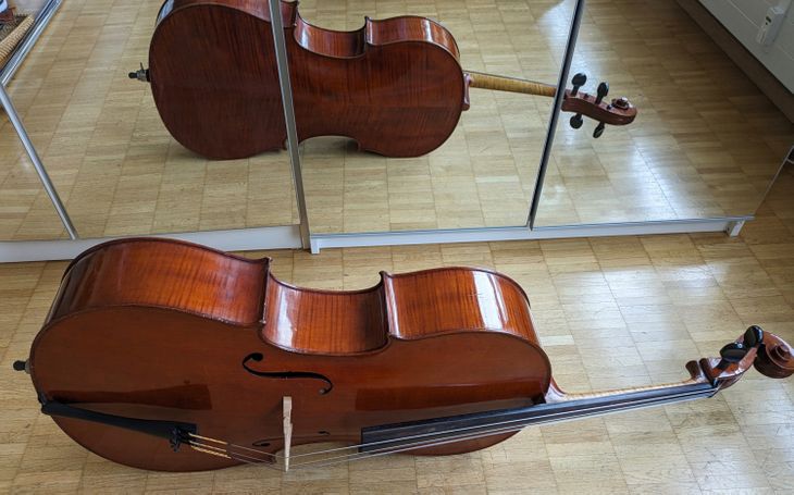 Cello mit Fall, ca. 100 Jahre alt - Imagen por defecto
