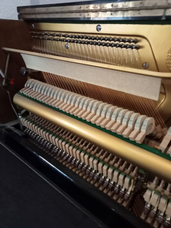 SE VENDE PIANO VERTICAL YOUNG CHANG - Immagine5