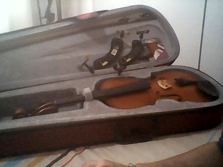 Viola 15" - Immagine2
