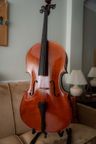 Violonchelo 4/4 Montagnana 1998 - Immagine