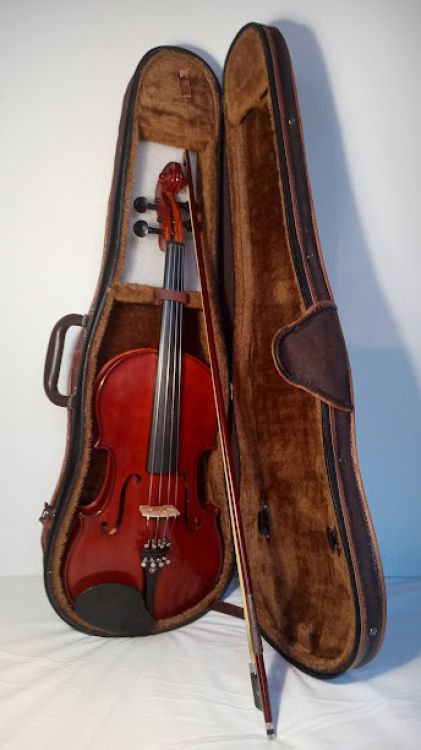 VIOLA 15 PULGADAS - Image6