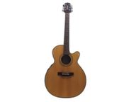 Takamine EG 540C
 - Image