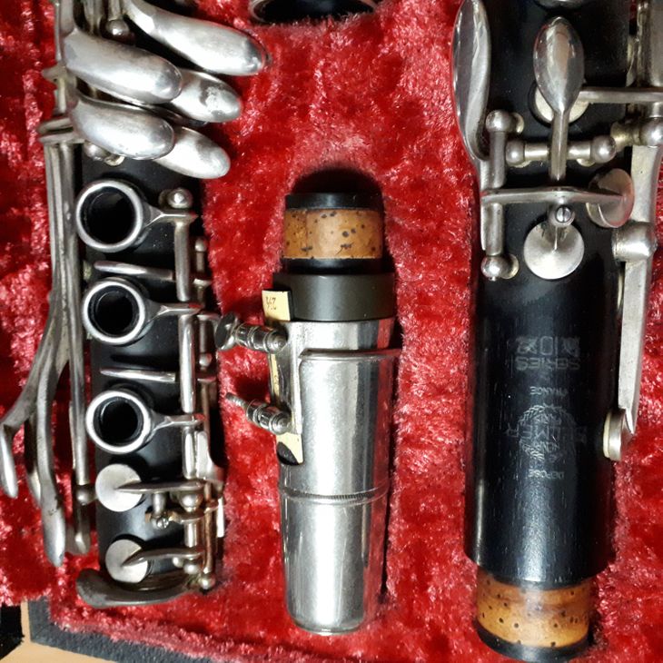 Clarinetto Sib Selmer paris 21Ch - Immagine3